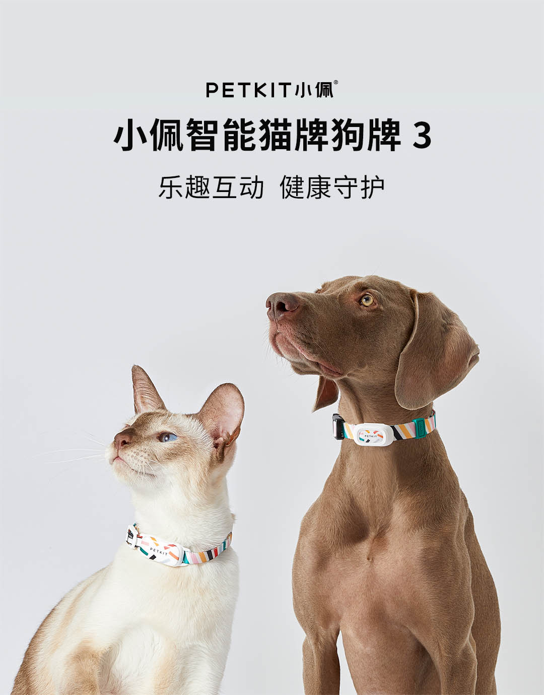 【中国直邮】小米有品 小佩智能猫牌狗牌3 M码 狗牌
